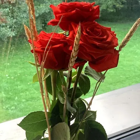 فيلة L'echappee Magique