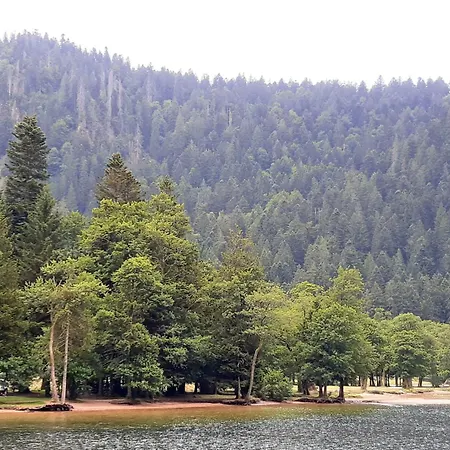 L'echappee Magique فيلة *