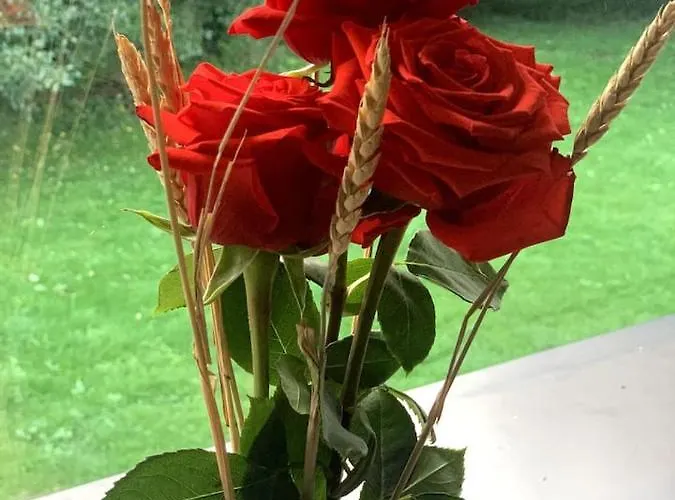 빌라 L'echappee Magique