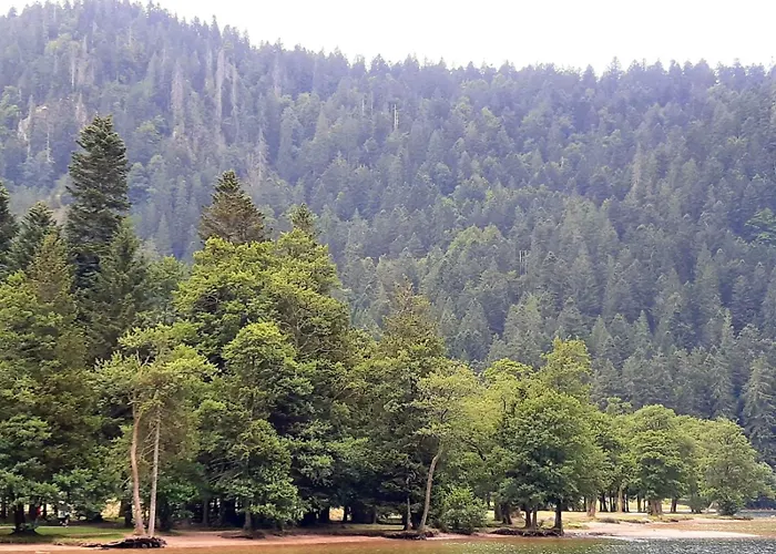 L'echappee Magique 빌라 *