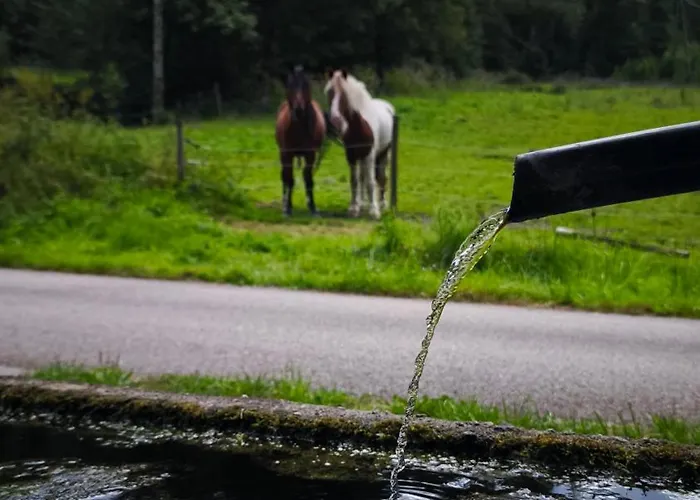 L'echappee Magique * Mandray
